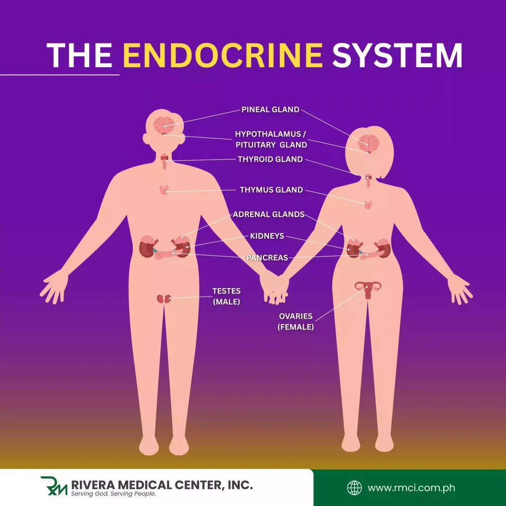 endocrinologist-in-panabo-city
